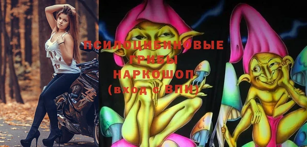 ПСИЛОЦИБИНОВЫЕ ГРИБЫ Армянск